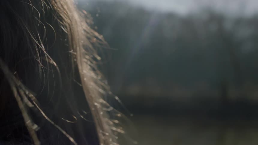 Hair is shown in the sunlight