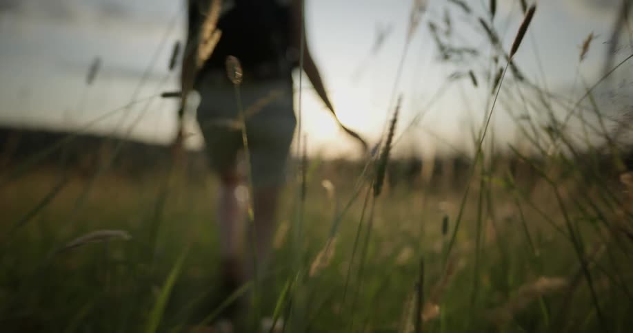 Woman walks through a field of tall grass at sunset