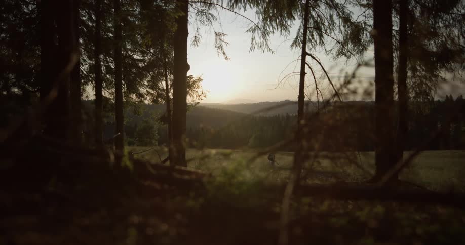 A woman in a hat walks out of a forest into a field at sunset