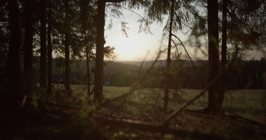 A woman in a hat walks out of a forest into a field at sunset