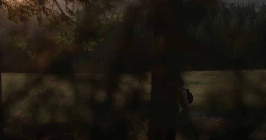 A woman in a hat walking through a field adjacent to a forest at sunset