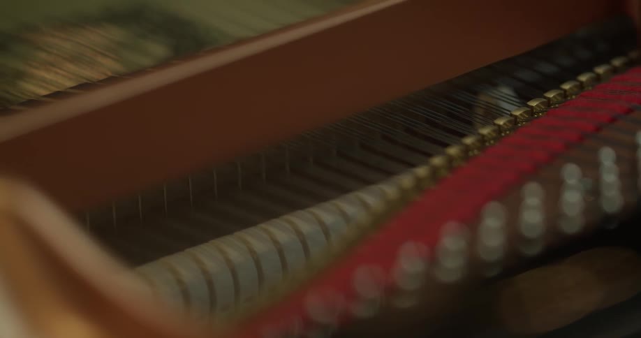 The inside of a piano