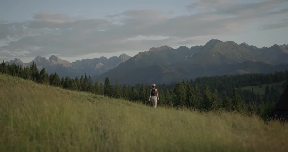 A woman walks through a field toward a forest in front of a mountainous skyline