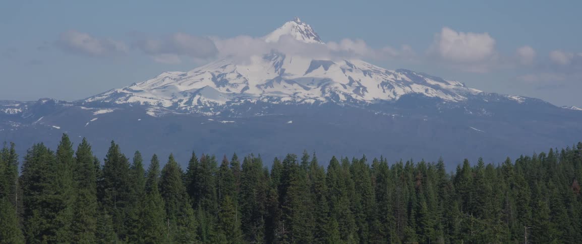 A forest in front of a mountain range surrounded by blue sky and clouds