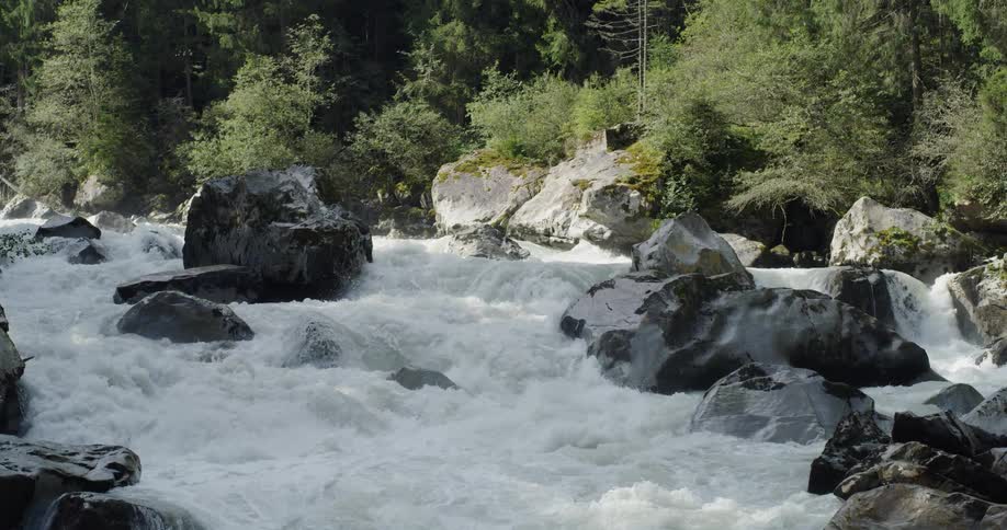 River rapids next to a forest