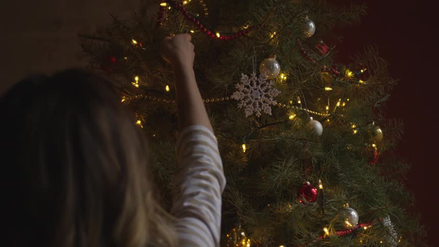 Girl hanging ornaments on a tree