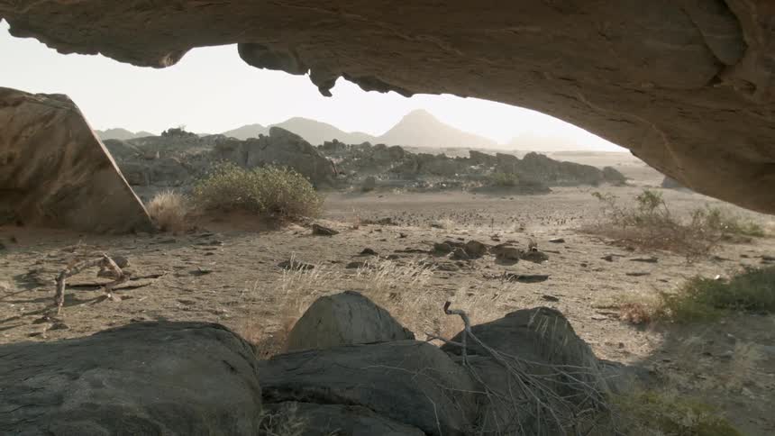 Wheat grass breezes in the wind under a cave in the Desert