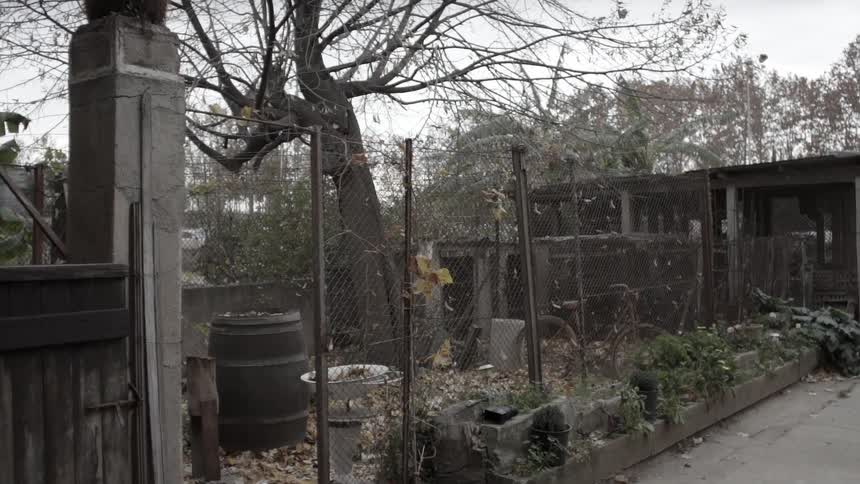 A view of a fenced-in garden area of someone's backyard