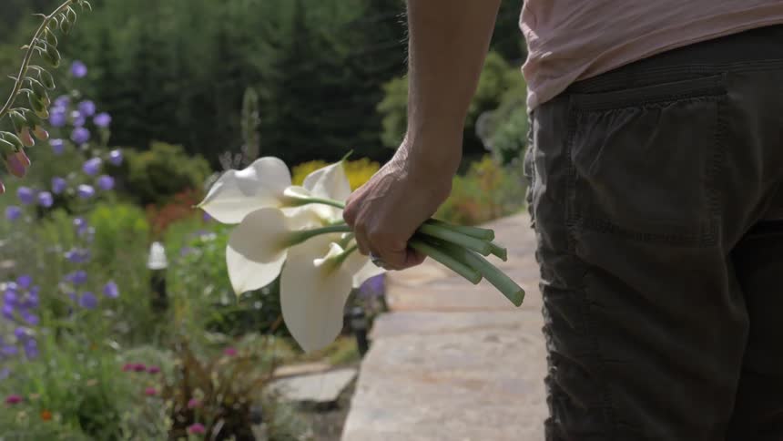 Man holds tulips in hands and walks in flower garden in the daytime