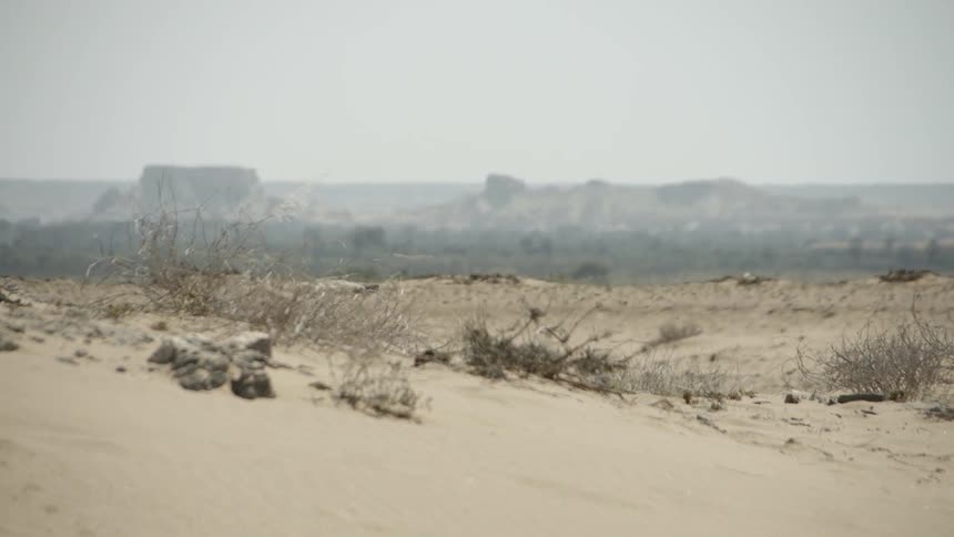 View of sand, rocks, dead weeds and buttes in the background