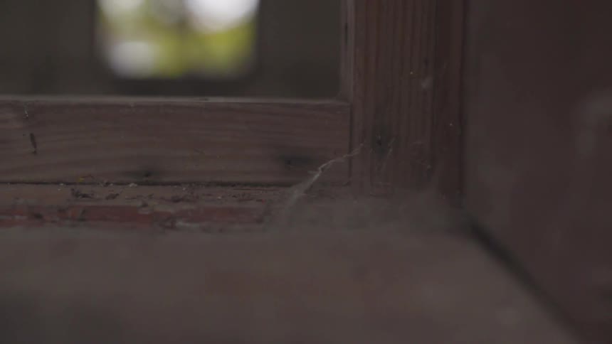 The camera watches cobwebs blowing the breeze