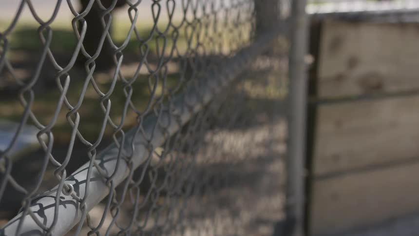 Chicken wire runs along a fence in a park at day