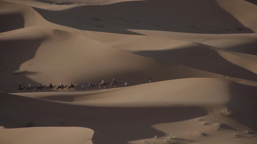 A caravan of camels and riders travels along the sand dune