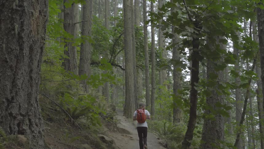 Man hikes up mountain trail in forest