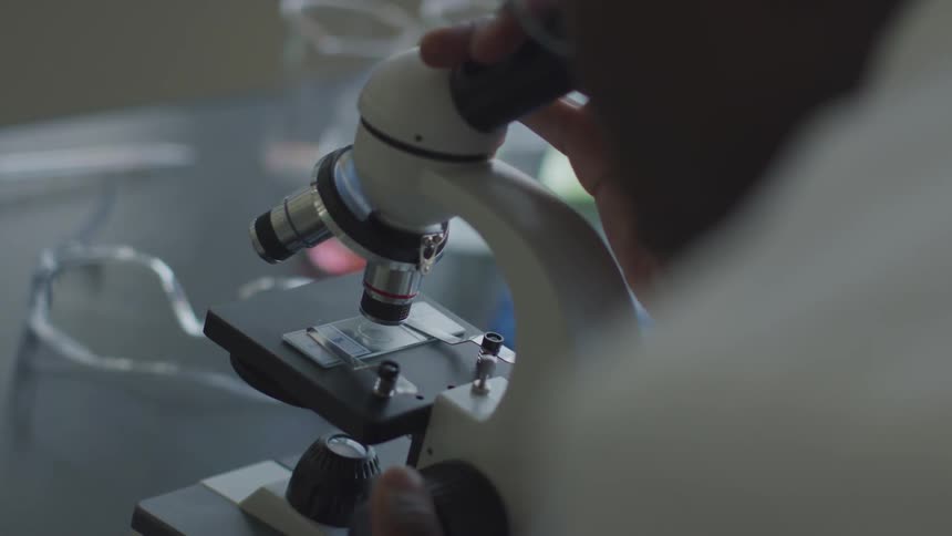A person looking in a microscope