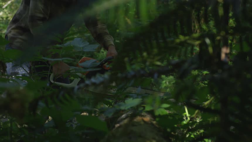 A person using a chainsaw in a forest