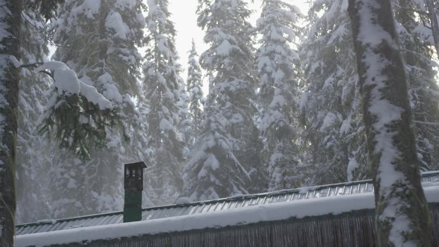 Snow falls onto the rooftop of a cabin surrounded by trees