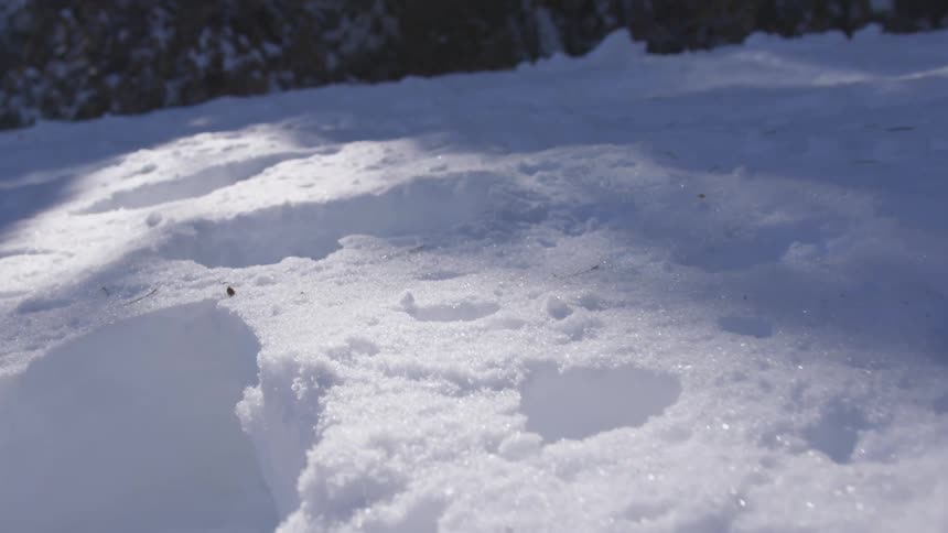 A heavy snowfall with deep footsteps set into the snow