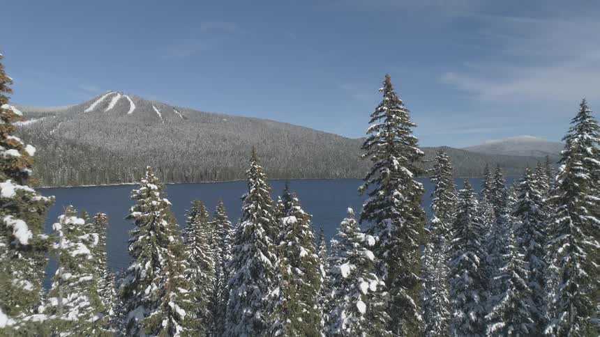 Snow covered trees by a mountain lake