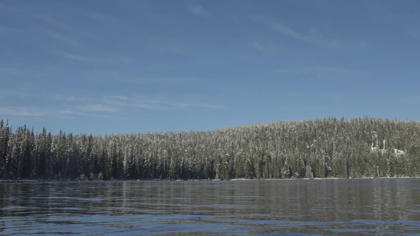 A lake in the forest during the winter