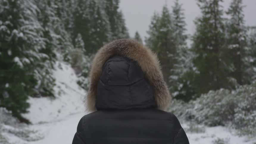 A person walking through a snowy forest