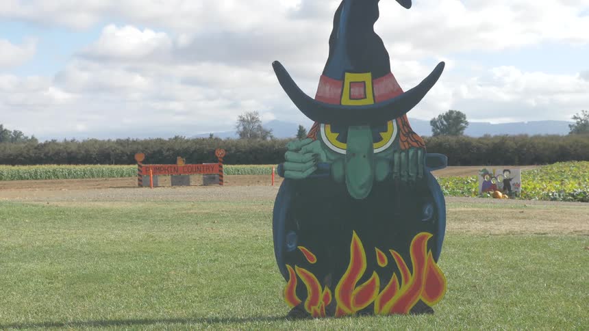 Halloween decoration on a pumpkin patch