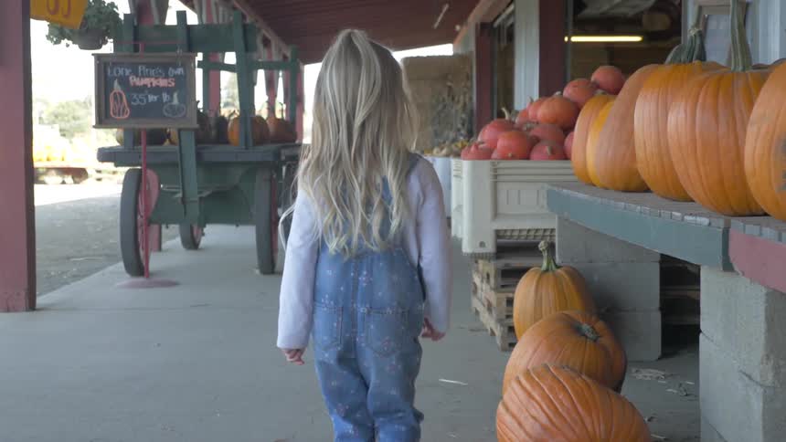 Girl walks toward pumpkin display