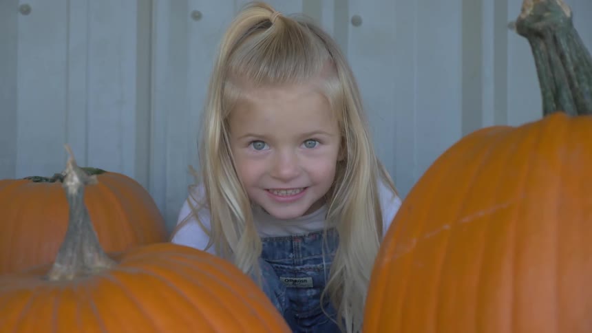 Blonde blue eyed little girl smiles among the pumpkins during daylight