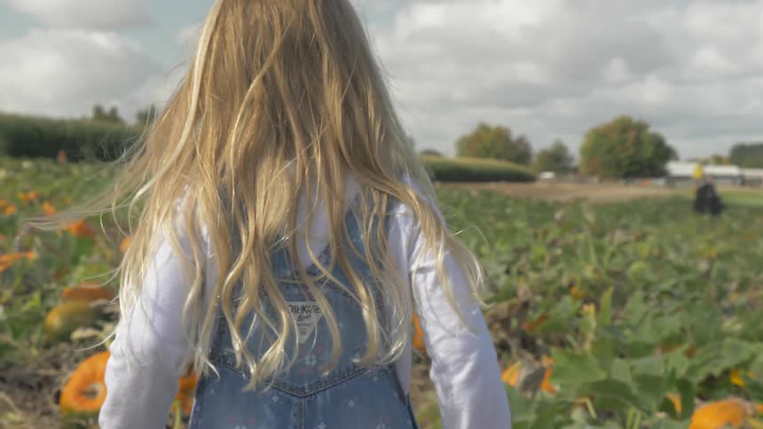 Blonde little girl walks in a field of pumpkins on a cloudy day