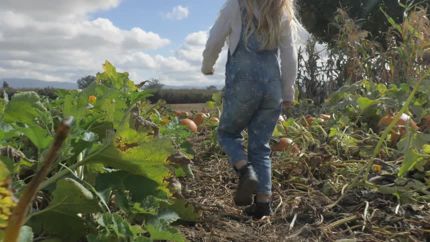 A white girl walks through a pumpkin patch