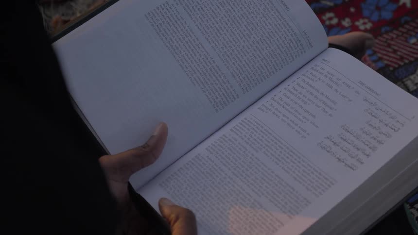 A person sits and reads a book