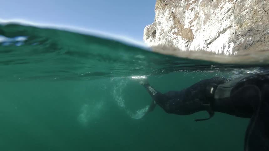 A free diver swims past the camera in this over/under shot in the Pacific Ocean
