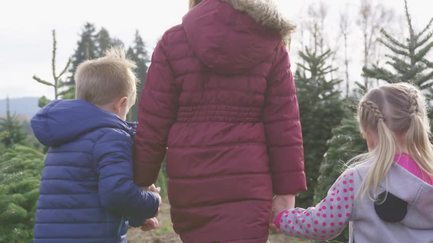 A mother walks with two children through a christmas tree farm