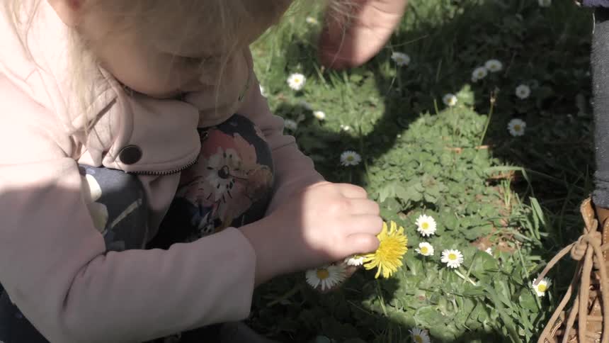 A child being helped to make a daisy chain