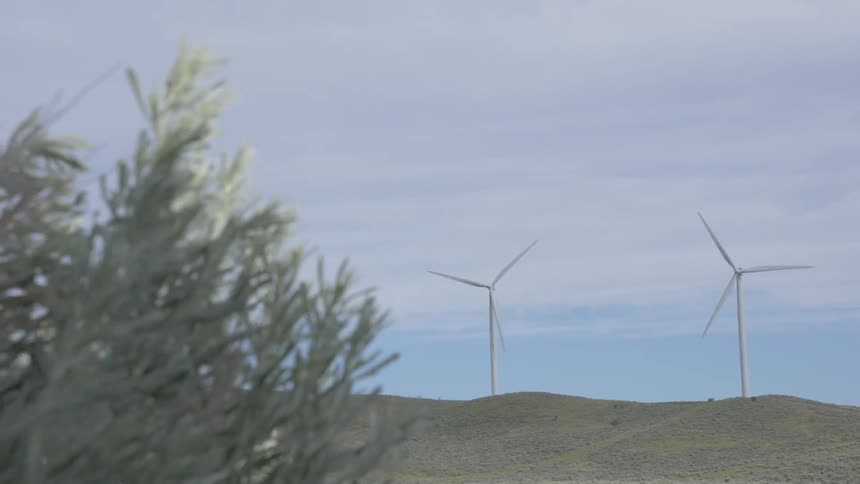 Wind turbines spin in a field
