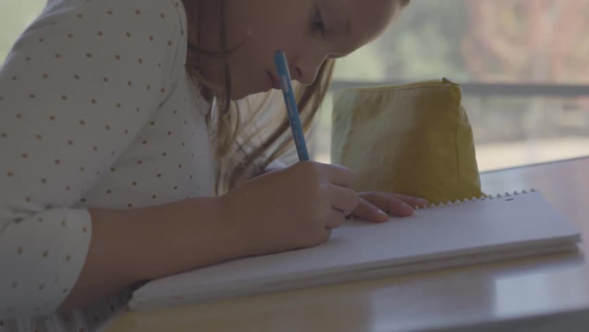 Student sitting at her desk writing in her notebook