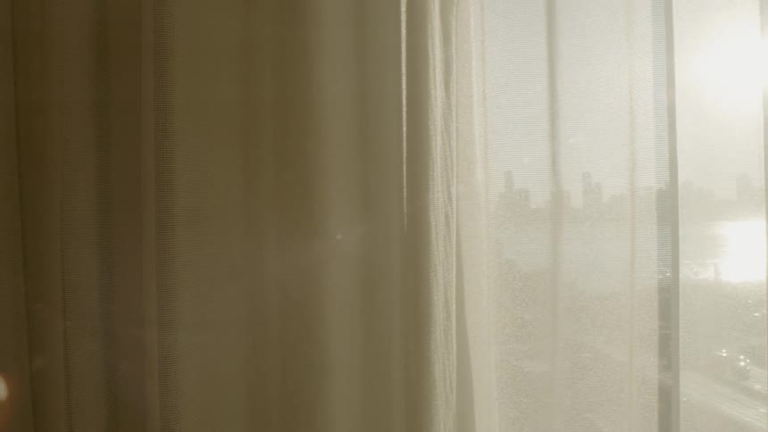The camera looks through curtains to the outdoors