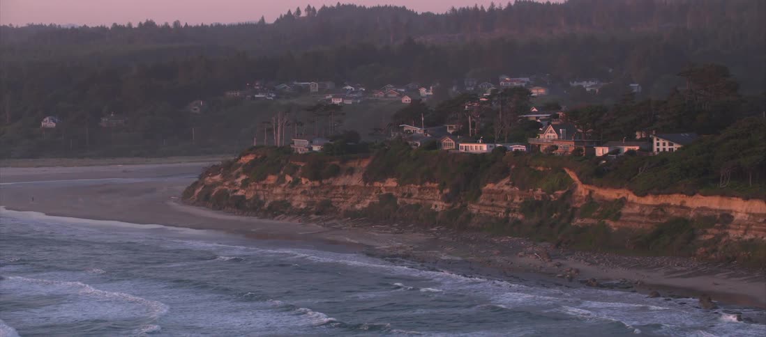 An aerial shot of a beach by a neighborhood