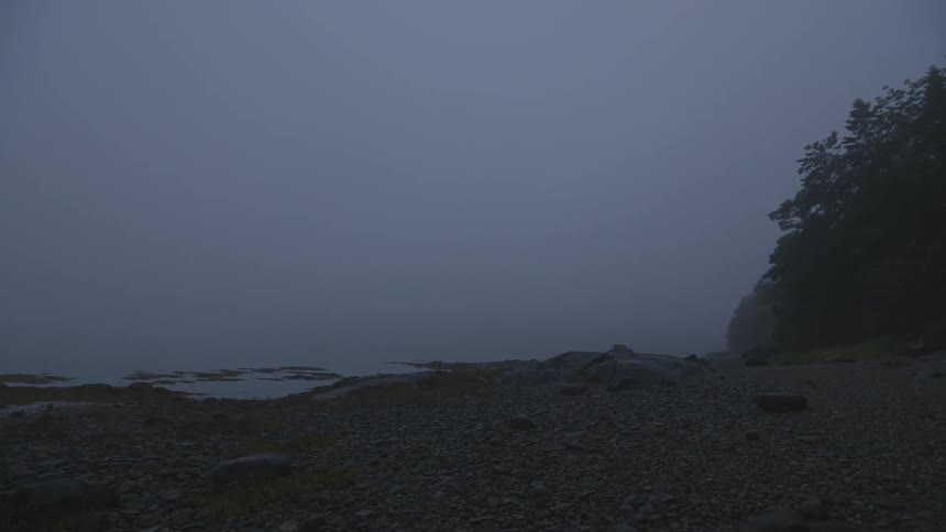 A quiet shoreline at dusk