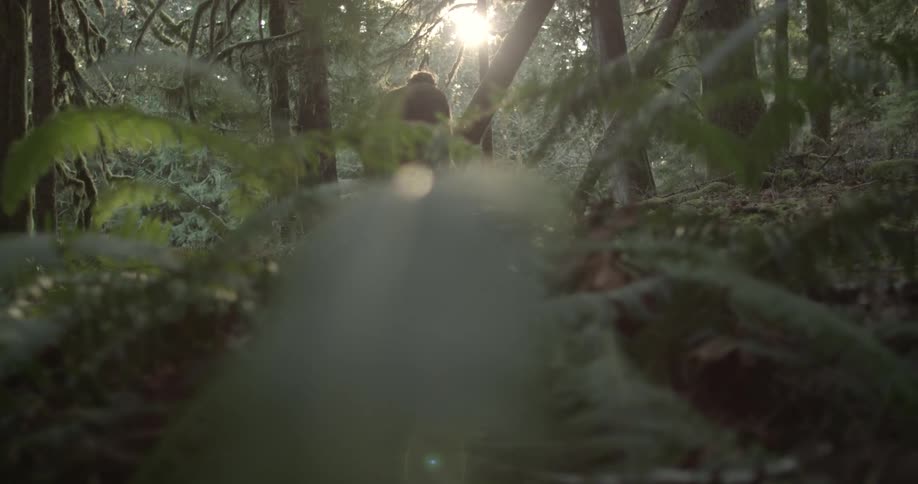 A man walks through a dense forest