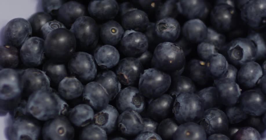Blueberries fill up a white bowl
