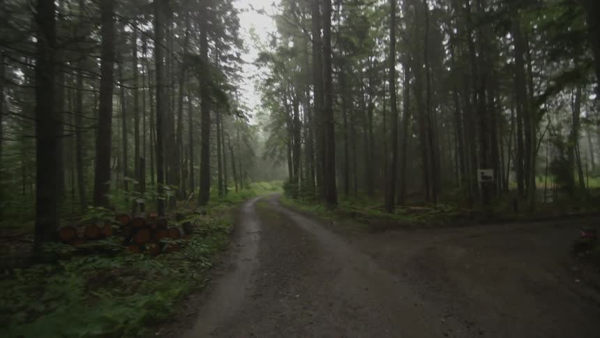 Someone is running on a trail in the forest