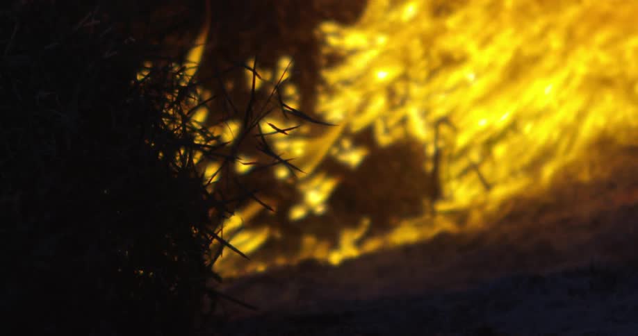 A roaring fire