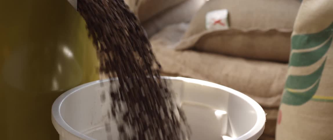 Coffee beans fall out of a machine into a container