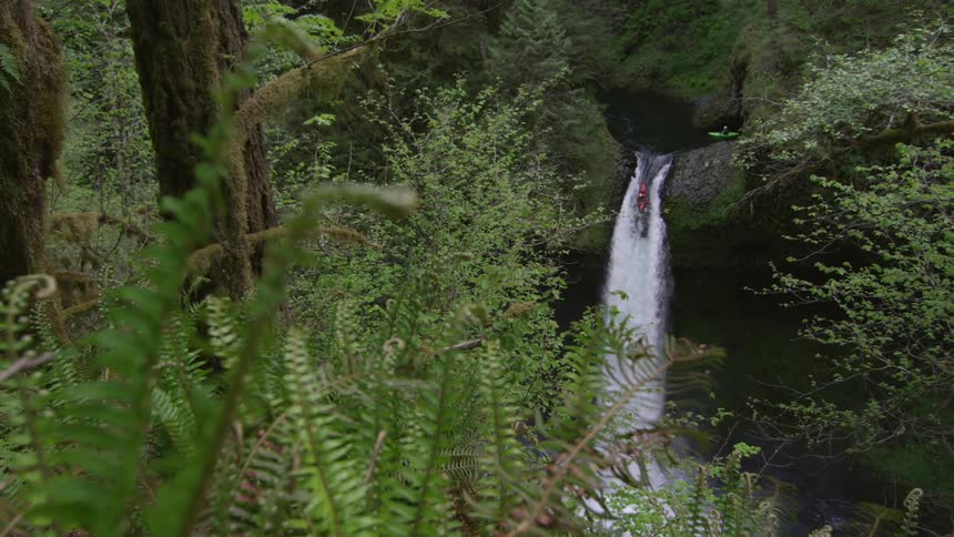 The camera dolly's right past several silver sword ferns revealing an awesome scene of a large waterfall and whitewater kayaker descending the 100 foot drop