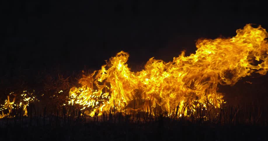 A roaring fire