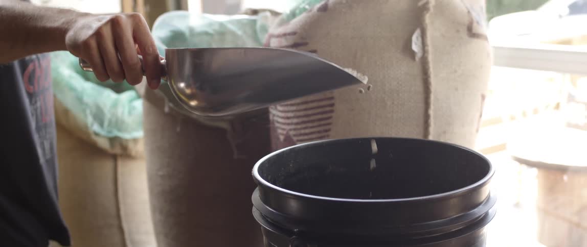 Beans are measured from a bulk bin