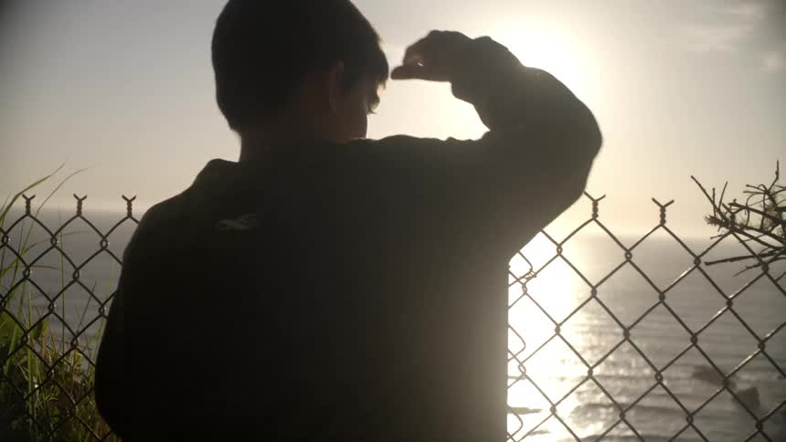 A boy looking over a fence