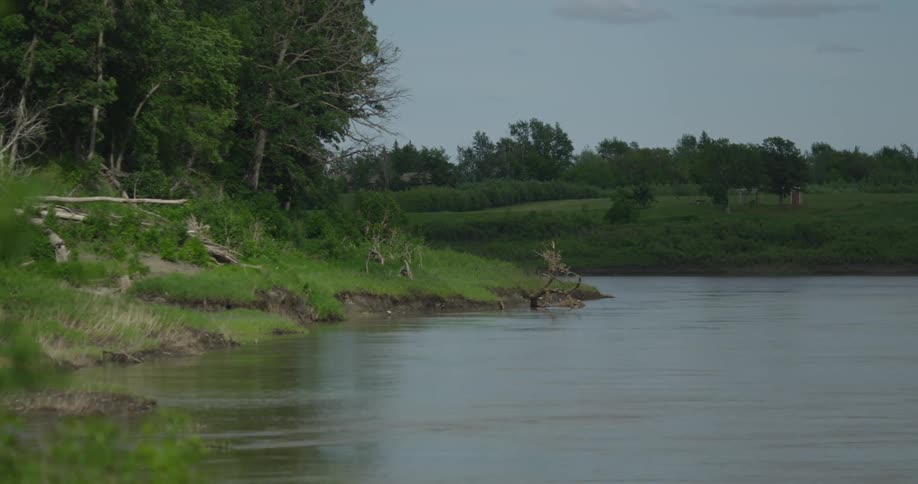 A riverbank during the day