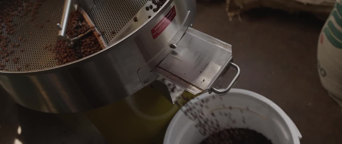 A machine sorting coffee beans